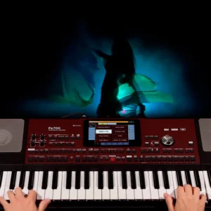KORG PA-700 – ARRANGER PROFESIONAL 61 TECLAS 128MB - Imagen 8