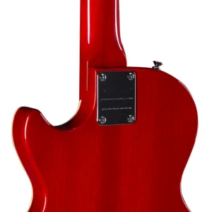 Epiphone ENA2AANH3 - Guitarra Eléctrica Slash Les Paul Special-II - Appetite Amber - Imagen 5