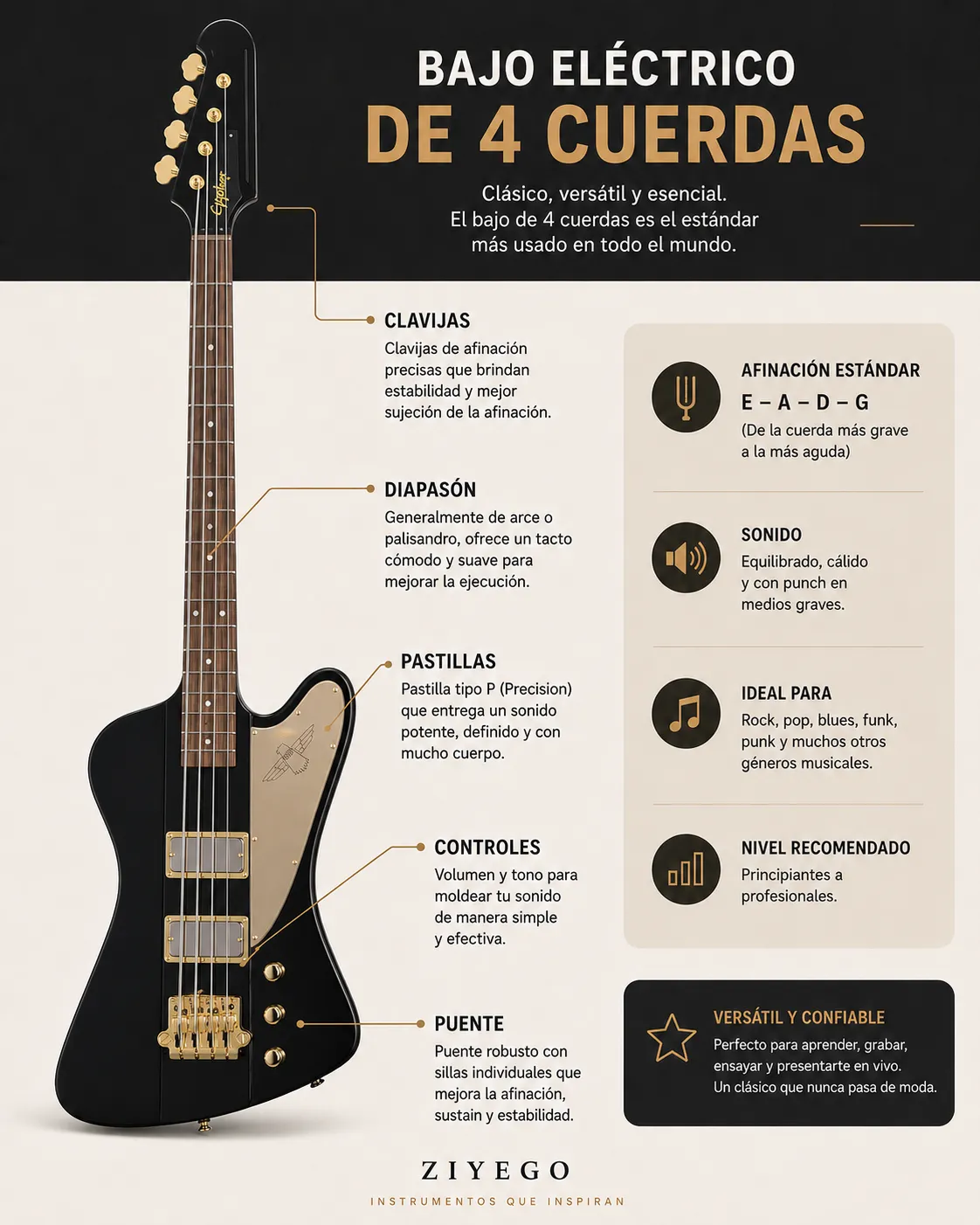 Bajo 4 cuerdas