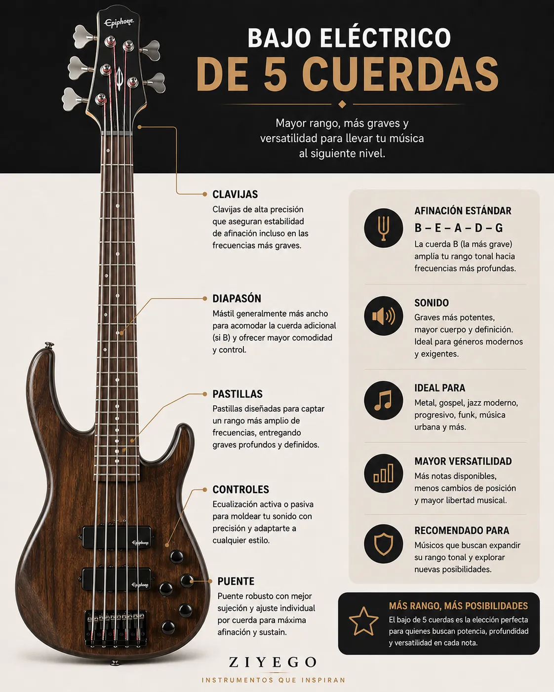 Bajo de 5 cuerdas