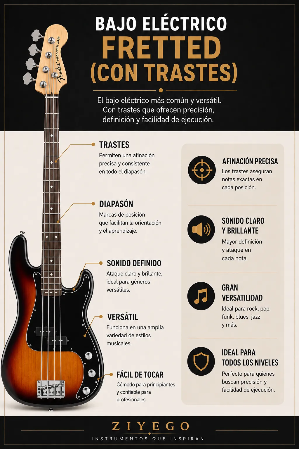Bajo fretted