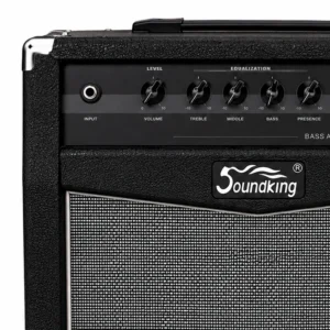 Soundking SB300 - Amplificador Bajo 30W 8" - Imagen 3